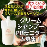 「【クリームで洗うシャンプー髪のPRモニター40名大募集！】【Instagram＆SNS】」の画像、株式会社B.VALANCEのモニター・サンプル企画