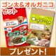 イベント「ワンちゃんを飼っている方必見！ゴン太のデンタフード＆オルガニコを8名様に」の画像