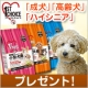 イベント「ファーストチョイス 小型犬用「成犬」「高齢犬」「ハイシニア」を各10名様に」の画像