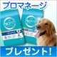 イベント「ドッグフード「プロマネージ」を30名にプレゼント」の画像