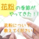 イベント「花粉の季節がやってきた！！」の画像