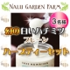 イベント「幻の白いハチミツ（100%オーガニック）ハーブティーセット　3名様募集！」の画像