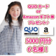 アンケートに答えて【5000円分アマゾンギフト券orQUOカードプレゼント!】0～12歳のお子様のいらっしゃるママ対象アンケート♪/モニター・サンプル企画