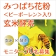 イベント「話題のスーパーフード「みつばち花粉（ビーポーレン）」入り玄米酵素モニター募集」の画像