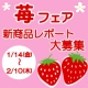 今が旬！スリーエフで大人気の「苺フェア」対象商品の感想大募集！！/モニター・サンプル企画