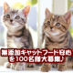 イベント「人が食べれる食材で作った評判の「無添加キャットフード安心」100名大募集！」の画像