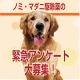 イベント「ノミ・マダニ駆除薬アンケート」の画像