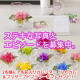 イベント「第2回☆幸せおすそわけキャンペーン「ハピカレ＆プリザーブドフラワー」をプレゼント」の画像