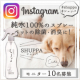 【インスタ投稿】ペットの除菌消臭スプレー SHUPPA モニター10名様募集！/モニター・サンプル企画