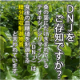 イベント「京都・網野町産・無農薬栽培桑葉使用【粉末と粒】各５名　計１０名様モニター募集」の画像