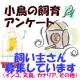 イベント「小鳥の飼主さん募集！小鳥の写真投稿とアンケートに答えた方から500円図書カード♪」の画像