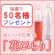 イベント「50名様にプレゼント！バラブーム到来☆赤いバラ化粧水【花ひらり】 ～夢隊web～」の画像