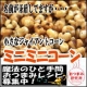 イベント「名前が矛盾してますが・・小さなジャイアントコーン　ミニミニコーンのモニター募集！」の画像