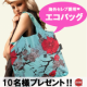 オーストラリア発★Envirosaxエコバッグ10名様プレゼント！！/モニター・サンプル企画