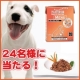 イベント「美味しい＆栄養価がギュッと凝縮！「無水調理」のドッグフードを24名様にプレゼント」の画像
