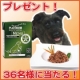 美味しい＆栄養価がギュッと凝縮！「無水調理」のドッグフードを36名様にプレゼント/モニター・サンプル企画
