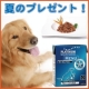 イベント「美味しい＆栄養価がギュッと凝縮！「無水調理」のドッグフードを24名様にプレゼント」の画像