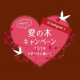 イベント「メリー愛の木キャンペーン 2019♪」の画像