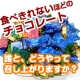 イベント「一人では食べきれない程のチョコレート、誰と、どうやって召し上がりますか？」の画像