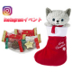 猫好き大募集！メリーチョコレートクリスマス新商品モニター様募集！！/モニター・サンプル企画