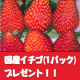 イベント「【ストレススキャン】　国産イチゴ1パック　8名様　抽選でプレゼント」の画像