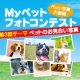 イベント「かわいいペットのお見合い写真大募集！！【第３回 Myペット フォトコンテスト】」の画像