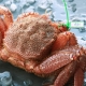イベント「あなたは活？茹で？どっち？活なら憧れの「蟹刺し」も！超特大ブランド寒毛がに「極」」の画像