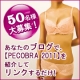 イベント「2011PECOブラを紹介、リンクするだけ！500円クオカード50名様に当たる！」の画像