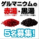 イベント「ゲルマニウムの赤湯・黒湯5名募集！」の画像