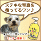 イベント「我が家のペット画像大募集！上位3名盛田屋オリジナル「ペットシャンプー」プレゼント」の画像