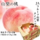 ＼アンケート／◆産地直送 山梨の桃　秀品5~7玉&times;2箱　1名◆BrushUP学び/モニター・サンプル企画