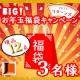 イベント「◆新春◆BIG!お年玉福袋キャンペーン≪リターンズ≫」の画像