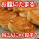 こんにゃく粉を使って、&rdquo;お腹にたまる&rdquo;ダイエット餃子は作れるのか？/モニター・サンプル企画