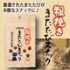 イベント「猫ちゃんのためのまたたびが手軽なスナックに♪『またたびスナック』」の画像
