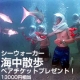 海中散歩シーウォーカーペアチケットプレゼント（13000円相当）/モニター・サンプル企画