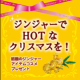 【クリスマス直前スペシャル企画第１弾】ジンジャーアイテムでＨＯＴなクリスマスを★/モニター・サンプル企画
