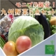 【モニプラ限定！野菜セット】新鮮な「旬の九州野菜 5品目」モニター≪10名様≫/モニター・サンプル企画