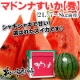 イベント「収穫から24時間以内に発送！シャキシャキ＆ジューシー『富良野産マドンナすいか』」の画像
