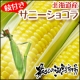 イベント「甘いとうもろこしを自宅で収穫？！もぎたての味『北海道産サニーショコラ＜枝付き＞』」の画像