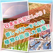 「日本を元気にしよう！癒しやパワーをくれる植物の画像やイラスト大募集！」の画像、ピヴォーヌ・インターナショナル株式会社のモニター・サンプル企画