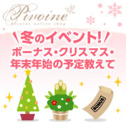「冬のイベント！ボーナス・クリスマス・年末年始の予定教えて◇アンケート募集」の画像、ピヴォーヌ・インターナショナル株式会社のモニター・サンプル企画