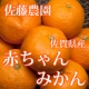イベント「【5名様限定】佐藤農場 無農薬『赤ちゃんミカン 小玉3kg』モニタープレゼント」の画像