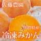 イベント「【5名様限定】佐藤農場 急速冷凍赤ちゃんミカン モニタープレゼント!!」の画像
