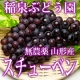 【3名様限定】稲泉ぶどう園 奇跡の無農薬ぶどうスチューベン家庭用2kgプレゼント/モニター・サンプル企画