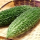 イベント「【3名様限定】沖縄県　自然栽培無農薬『ゴーヤー　3kg』モニタープレゼント」の画像