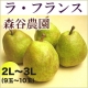 【3名様限定】森谷農園のプレミアム洋梨『ラ・フランス』モニタープレゼント/モニター・サンプル企画