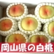 イベント「【3名様限定】岡山県の白桃モニタープレゼント出荷！」の画像
