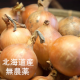 イベント「【3名様限定】北海道産『無農薬 玉ねぎ』モニタープレゼント」の画像