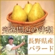【3名様限定】長野県の洋梨『バラード』をさんさんファームからプレゼント!!/モニター・サンプル企画