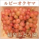 イベント「【5名様限定】稲泉ぶどう園の完全無農薬栽培ぶどう　プレゼント!!」の画像
